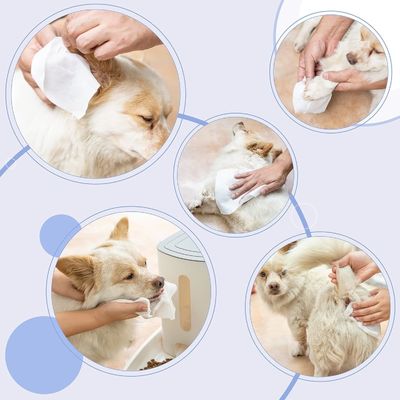 150*200mm milieuvriendelijke huishoudelijke reinigingsdoeken voor honden en katten