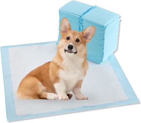 Extra grote wegwerppadjes voor honden 56x56cm voor dagelijkse seizoenputtentraining