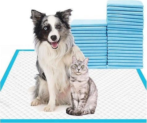 Eenmalige trainingspads voor huisdieren 56x56cm Grote hondenpaddas voor puppy's en dieren