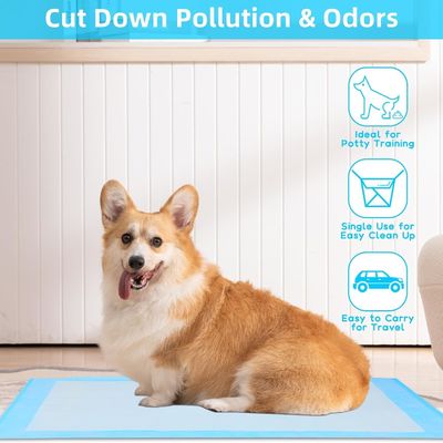 Eenmalige trainingspads voor huisdieren 56x56cm Grote hondenpaddas voor puppy's en dieren