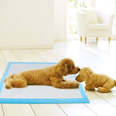 56*56cm Super-absorberend waterdicht wegwerpbedekking voor puppy-pissing