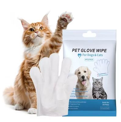 Gepersonaliseerd logo Acceptabel 6PCS Pack Huisdier Reiniging Handschoenen voor PET Grooming natte doekjes