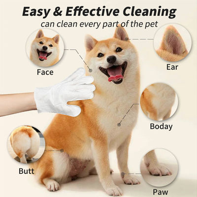 Gepersonaliseerd logo Acceptabel 6PCS Pack Huisdier Reiniging Handschoenen voor PET Grooming natte doekjes