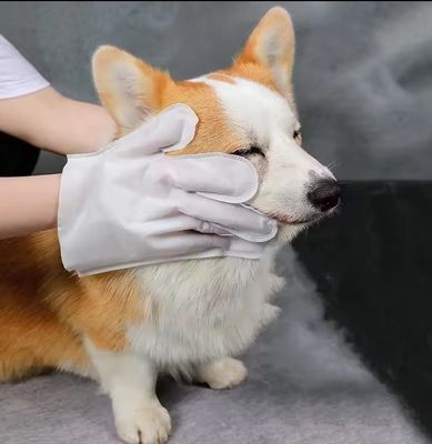 Niet-geweven blauwe verpakking schoonmaak wegwerphandschoenen voor huisdieren schoonmaakhandschoenen natte doekjes voor honden katten