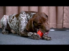 Squeaky Pet Dog Chew Toys Stoer en duurzaam voor agressieve kauwers Mode stijl