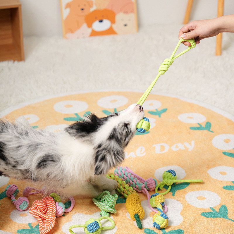 Speelgoed voor honden 7pcs set gevlochten touw speelgoed voor tandreiniging en interactief plezier