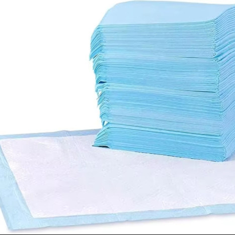 Puppy Piss Training Dog Training Piss Under Pad Super Absorberend Biodegradable Pet Urin Pad